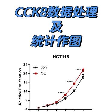 cck(cck纸是什么纸)