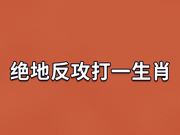 一见如故打一生肖(一见如故打一个动物)